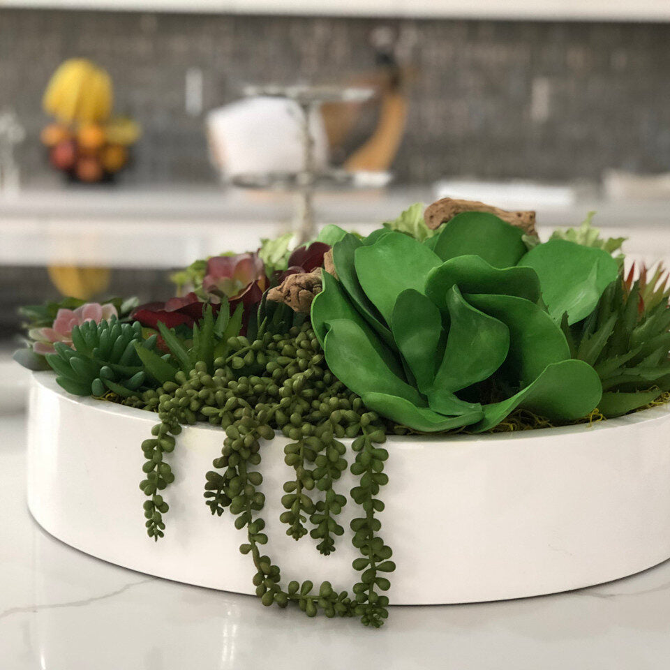 Sukkulente planta artificial