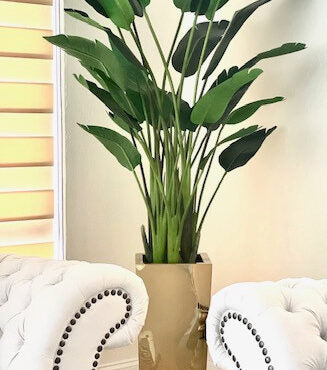 Flor Ave del Paraíso en macetero Cubo Dorado Mediano