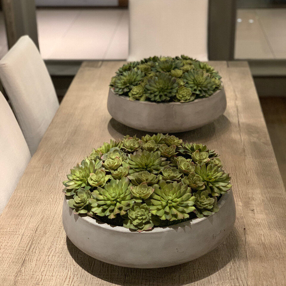 Sukkulente planta artificial