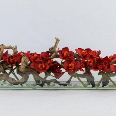 rojo Cymbidiums · aprox. 48 cm en el 48″ Casa Moderna macetero de plato de vidrio · aprox. 48 cm