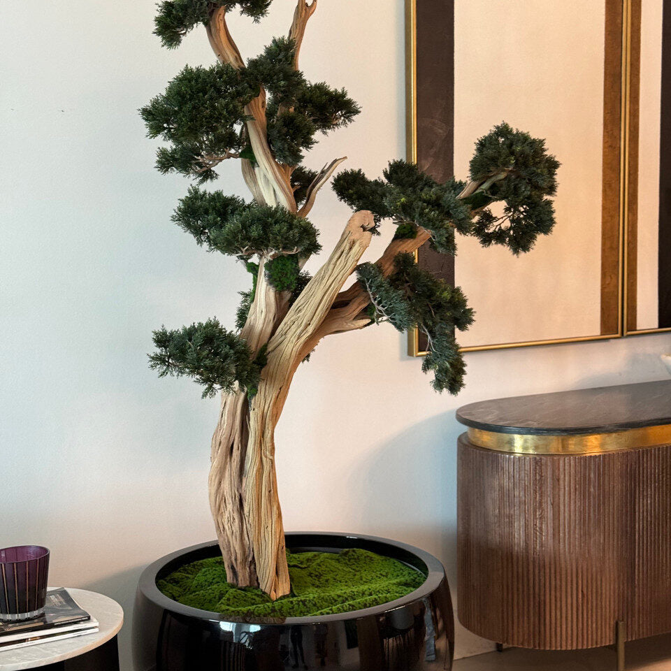 Bonsai planta artificial