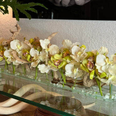 blanco Vandas y Grün Cymbidiums en el Casa Moderna