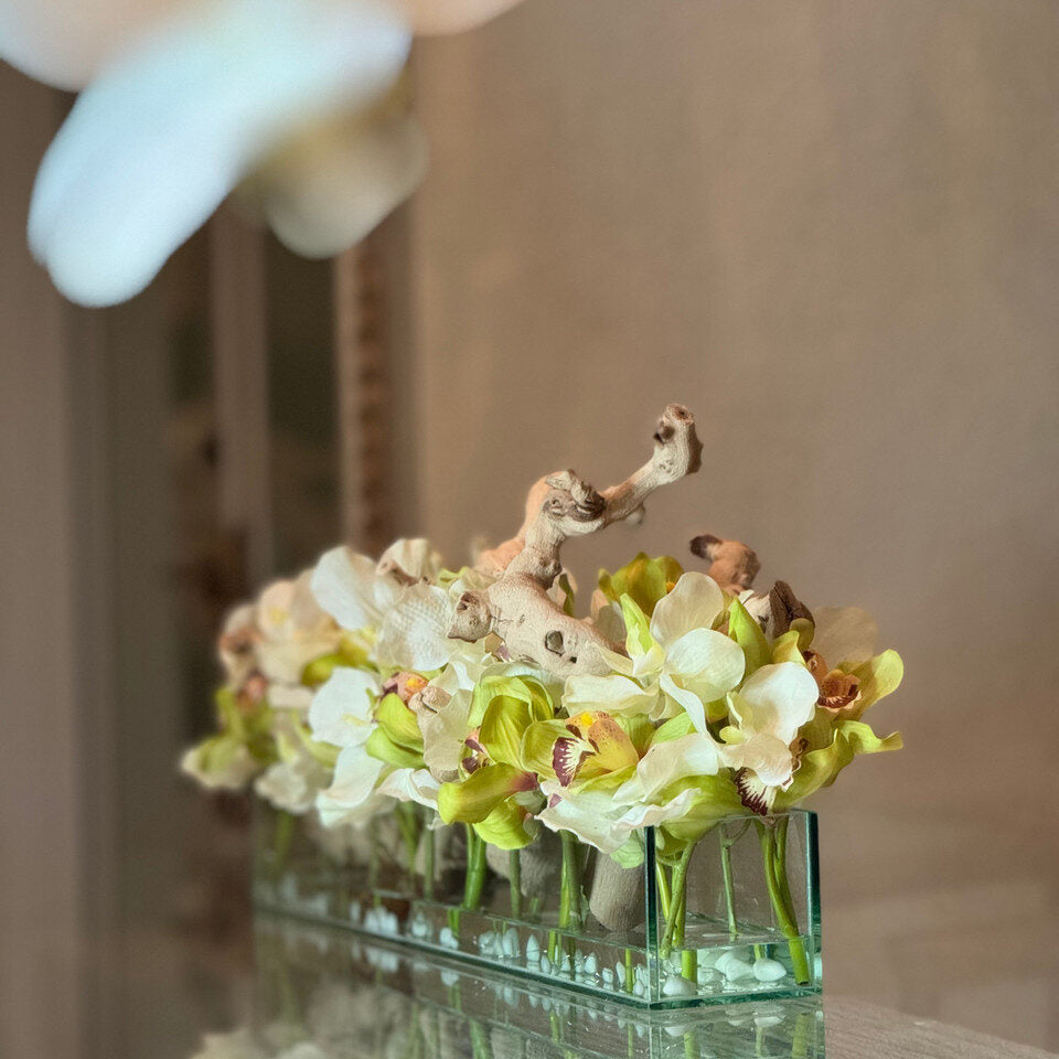 blanco Vandas y Grün Cymbidiums en el Casa Moderna