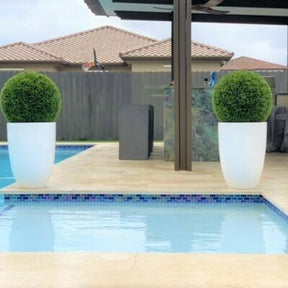 Topiary Ben L fibra de vidrio