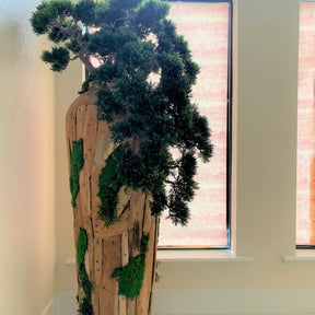 Bonsai planta artificial