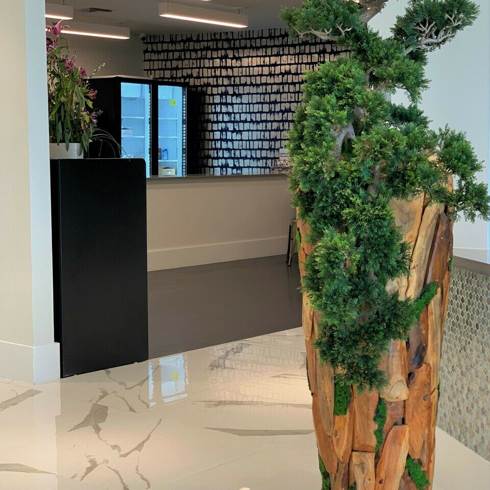Bonsai planta artificial