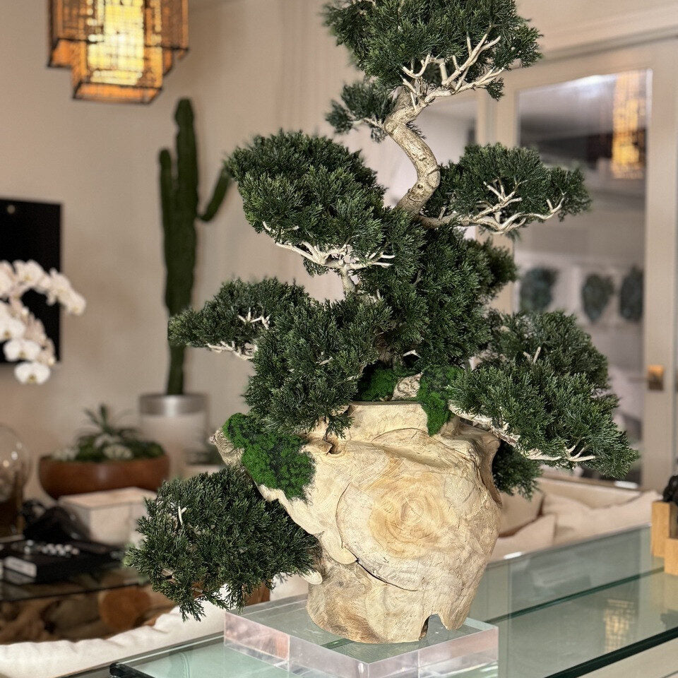 Bonsai planta artificial