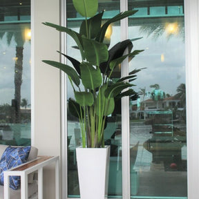 Mittel Beau macetero en brillante blanco Paradiesvogelblume