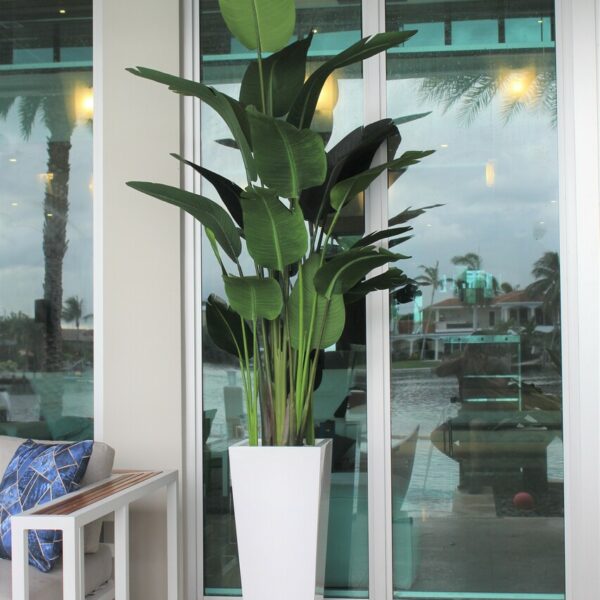 Mittel Beau macetero en brillante blanco Paradiesvogelblume