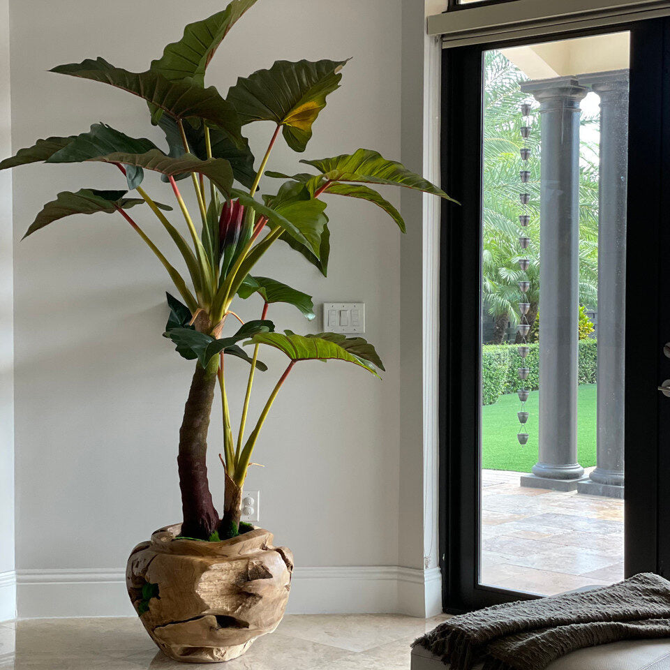 Alocasia artificial en cuenco de teca de gran tamaño