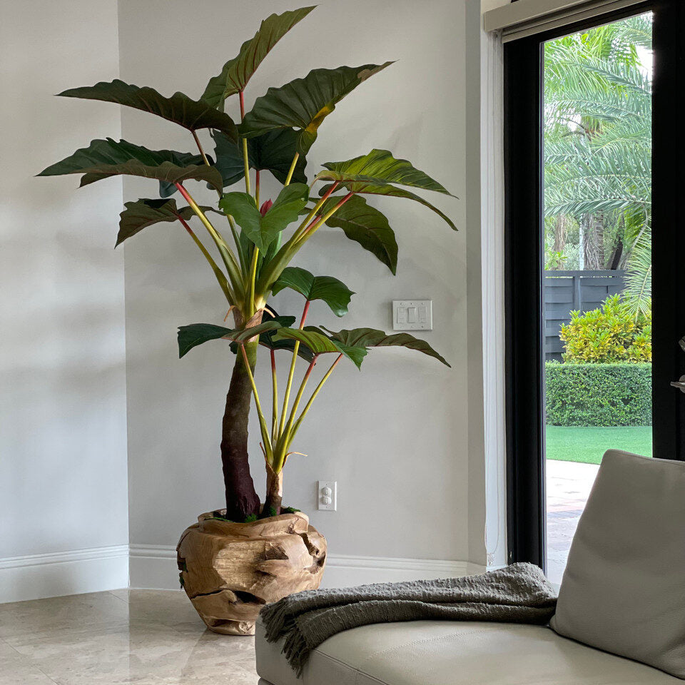 Alocasia artificial en cuenco de teca de gran tamaño