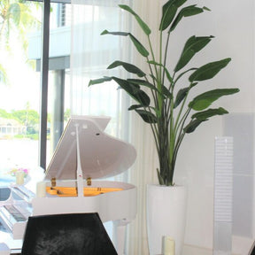 Xl Dax macetero en el 9 Ft Paradiesvogelblume