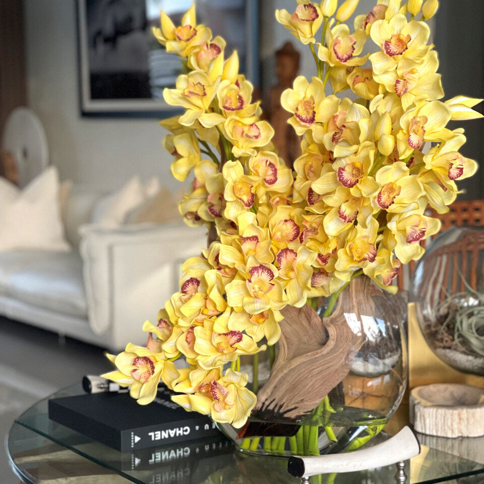 amarillo Cymbidiums en Moon en el jarrón