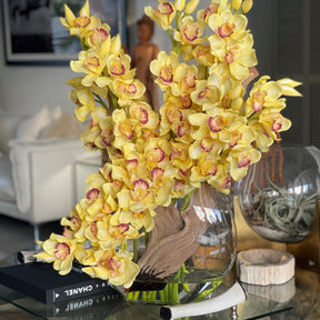 amarillo Cymbidiums en Moon en el jarrón