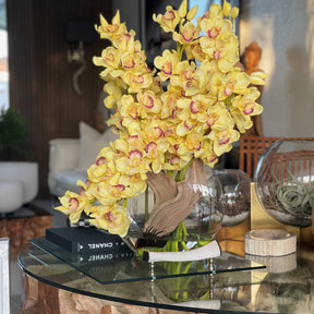 amarillo Cymbidiums en Moon en el jarrón