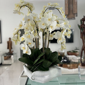 Orchidee planta artificial