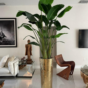 Flor ave del paraíso en el macetero Gold Hammered