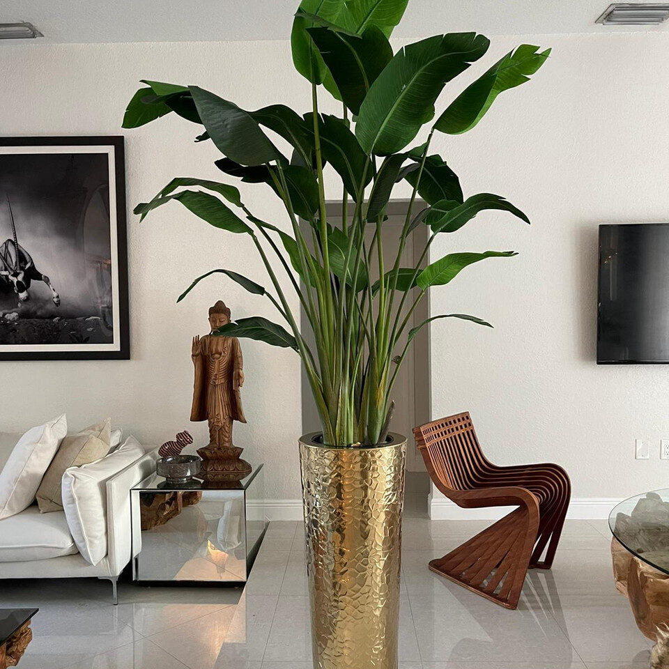 Flor ave del paraíso en el macetero Gold Hammered