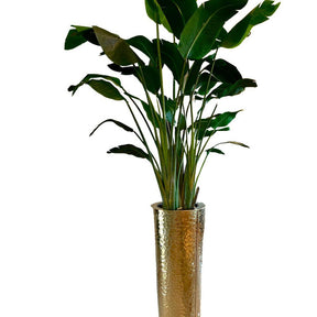 Flor ave del paraíso en el macetero Gold Hammered