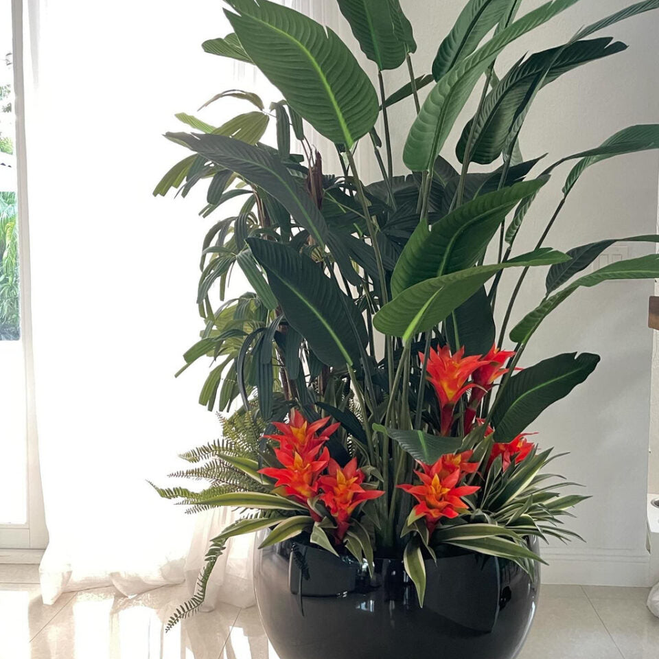 Plantas Tropical Mix en Terragona negra y macetero