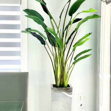 Macetero de acero inoxidable con forma de flor de ave del paraíso en cubo mediano
