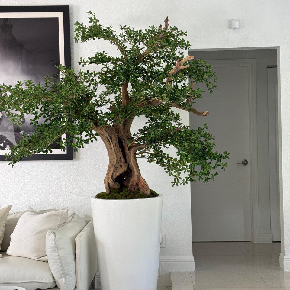 Bonsai planta artificial