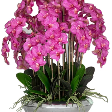 Orchidee planta artificial